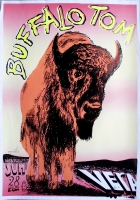 BUFFALO TOM - 1990 - Plakat - In Concert - Poster - Vera - Groningen