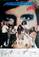WALLENSTEIN - 1979 - Tourplakat - Blue Eyed Boys - Tourposter - Autogramme