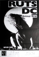 RUTS DC - 1981 - Plakat - Punk - In Concert - Animal Now Tour - Poster - Berlin