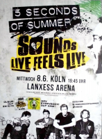 5 SECONDS TO SUMMER - 2015 - In Concert - Sounds Live...Tour - Poster - Kln