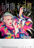 SKIP & DIE - 2012 - Plakat - In Concert - Riots In The Jungle Tour - Poster