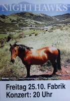 NIGHTHAWKS - 2024 - Live In Concert Tour - Poster - Hamburg