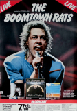 BOOMTOWN RATS - 1980 - In Concert - Fine Art of... Tour - Poster - Mannheim