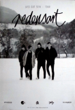 REDENSART - 2017 - Plakat - Live In Concet - Lass Gut Sein Tour - Poster