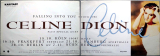 DION, CELINE - 1996 - Live in CoFalling into You - Tourposter