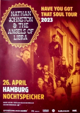 JOHNSTON, NATHAN - 2023 - Concert - Have you Got... Tour - Poster - Hamburg