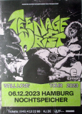 TEENAGE WRIST - 2023 - Live In Concert - Still Love Tour - Poster - Hamburg
