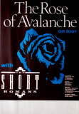 ROSE OF AVALANCHE - 1989 - Short Romance - Live In Concert Tour - Poster