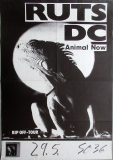 RUTS DC - 1981 - Live In Concert - Animal Now Tour - Poster