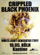 CRIPPLED BLACK PHOENIX - 2014 - In Concert - White Light... Tour - Poster - Kln