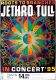 JETHRO TULL - 1995 - In Concert - Roots to Branches Tour - Poster - Kln - A