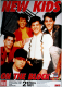 NEW KIDS ON THE BLOCK - 1991 - Live In Concert Tour - Poster - Kln
