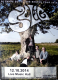 SELIG - 2014 - Plakat - In Concert - 20 Jahre Tour - Poster - Kln