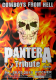 COWBOYS FROM HELL - 2015 - Tribute to Pantera - In Concert - Poster - Dsseldorf