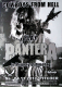 COWBOYS FROM HELL - 2017 - Tribute to Pantera - Concert - Poster - Dsseldorf