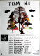 TEAM ME - 2011 - Plakat - In Concert - To the Treetops Tour - Poster
