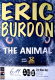 BURDON, ERIC - 1996 - Live In Concert - Animal Tour - Poster - Kln