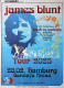 BLUNT, JAMES - 2025 - In Concert - Back To Bedlam Tour - Poster - Hamburg