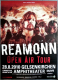 REAMONN - 2010 - Live in Concert - Open Air Tour - Poster - Gelsenkirchen