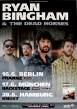 RYAN BINGHAM & THE DEAD HORSES - 2010 - In Concert - Junky Star Tour - Poster