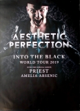 AESTHETIC PERFECTION - 2019 - In Concert - Into the Black Tour - Poster