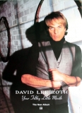 ROTH, DAVID LEE - VAN HALEN - 1994 - Promotion - Your Filthy.... - Poster