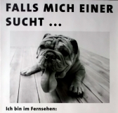 BULLDOGE - Plakat - Hund - Falls mich einer sucht  - VOX-Fernsehen - Poster