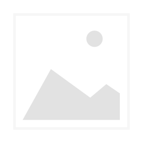 BLACK CROWES, THE - 2024 - In Concert Tour - Poster - Frankfurt +Autogramm A